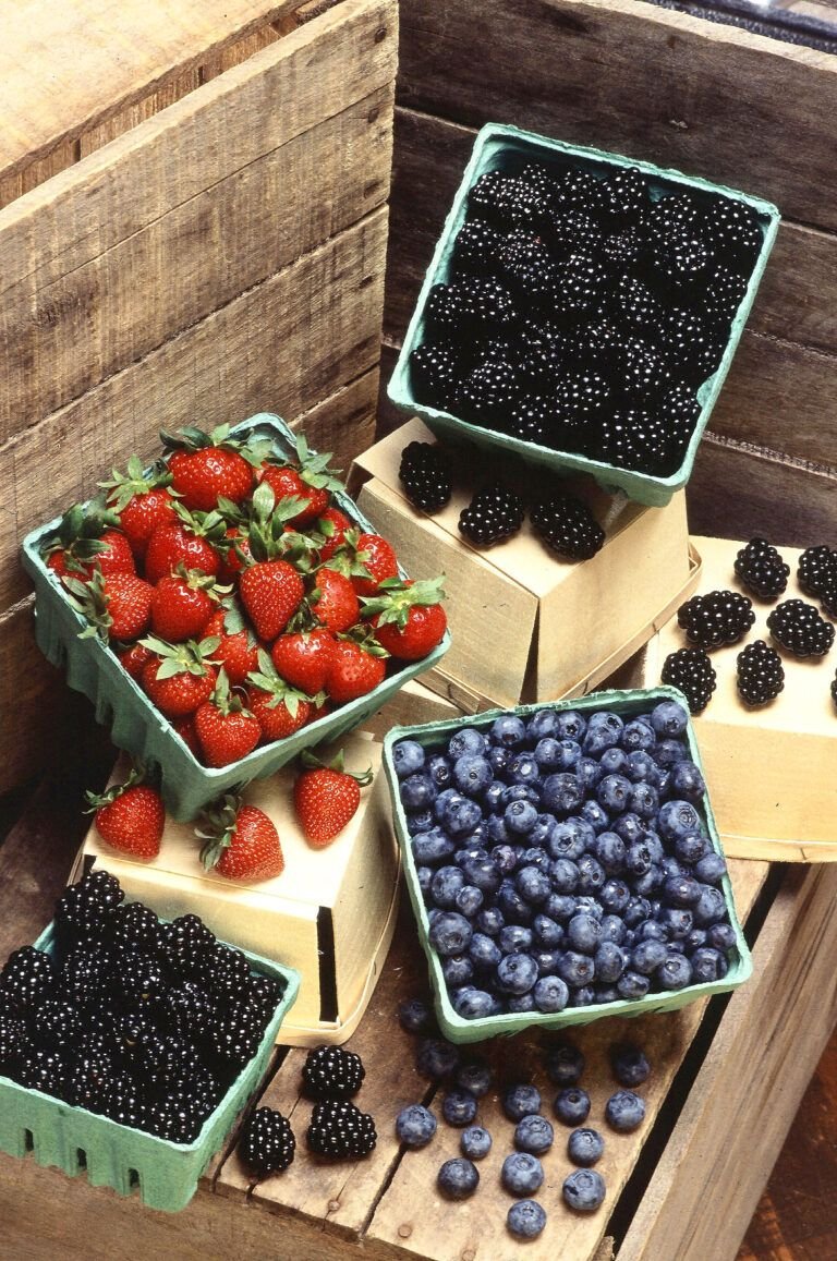Beneficios y Estrategias para el Uso y Almacenamiento de Frutos Rojos