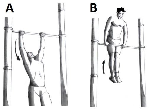 El Muscle Up: Un Logro de Fuerza y Técnica en Calistenia