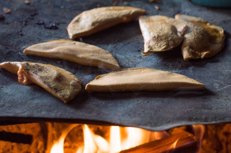 Enchiladas Potosinas: Un Festín de Sabores Tradicionales de México