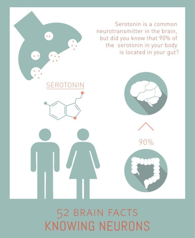 Serotonina: Explorando la Hormona Clave de la Felicidad y el Bienestar