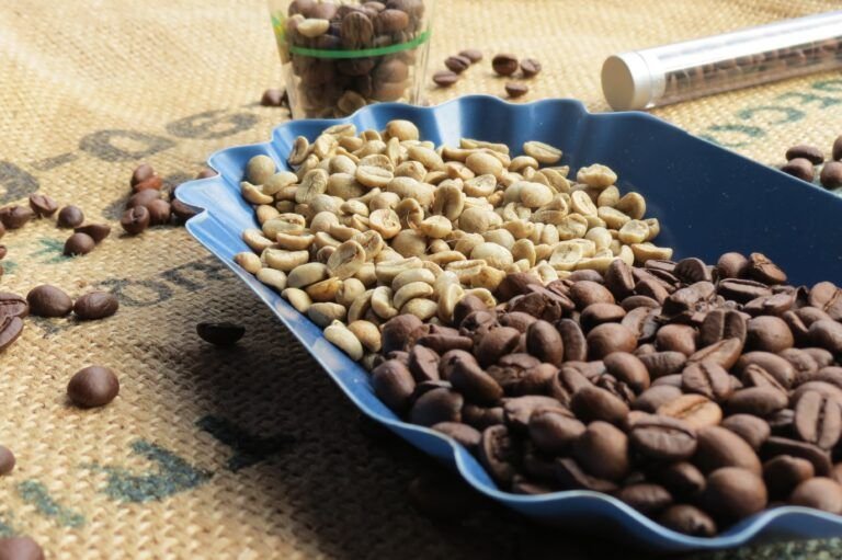 Café Verde: Propiedades, Beneficios y Cómo Incluirlo en tu Dieta