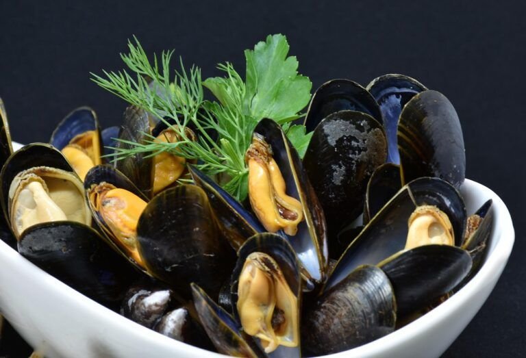 Delicias Mediterráneas: Arroz con Mejillones al Estilo Griego