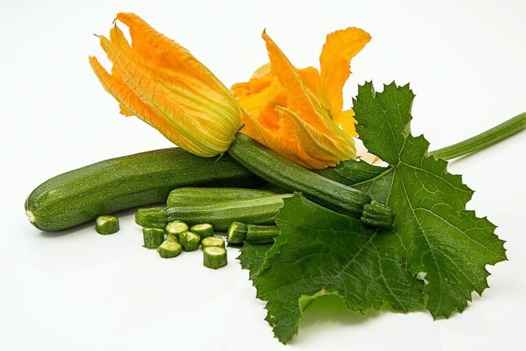 Receta de Calabacitas a la Mexicana