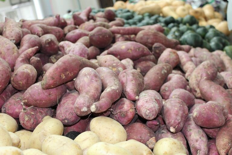 Camote a la Mexicana: Un Manjar de Sabores Tradicionales y Nutrición