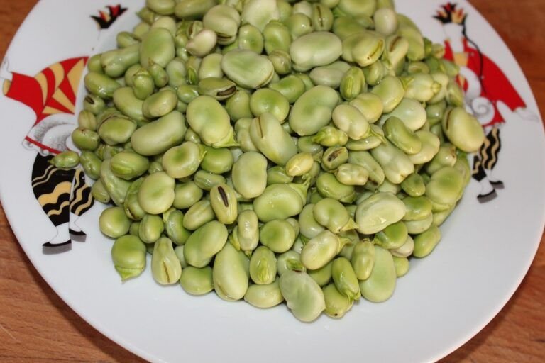 Descubre la Exquisitez de las Habas Frescas al Cilantro: Una Receta para Degustar