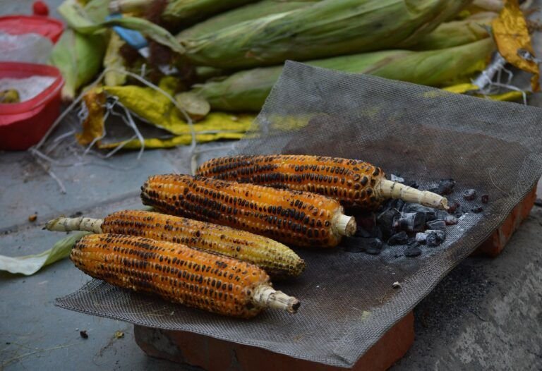 Delicias al Aire Libre: La Receta Definitiva de Elote Amarillo al Grill