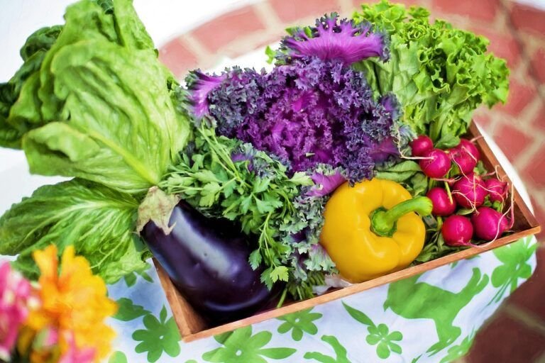 Ensalada de Pollo y Kale: Nutrición y Sabor en un Plato Saludable