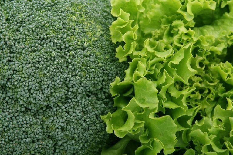 Receta de Ensalada del Huerto