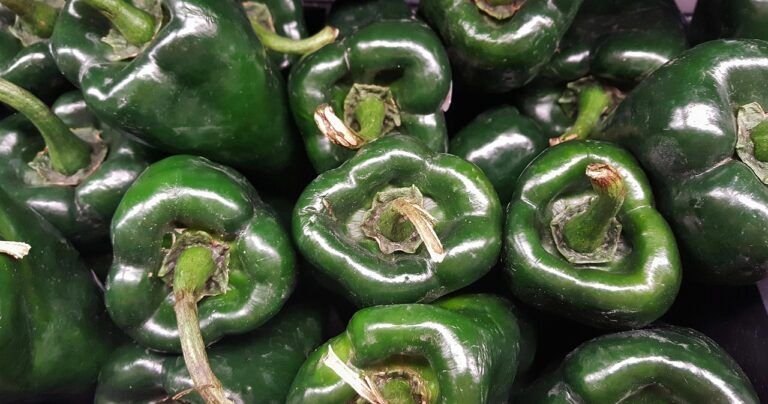 Descubre el Sabor Tradicional de México: Rajas con Queso