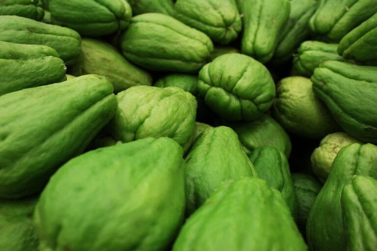 Deliciosas Recetas con Chayote: Aprovecha su Sabor y Nutrición