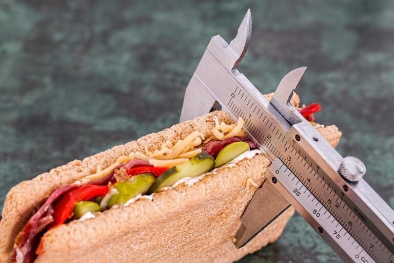 El Arte de la Gastronomía: Cómo Preparar un Exquisito Sandwich Prensado de Jamón y Queso
