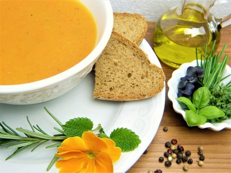 Sopa de Invierno: El Plato Reconfortante Perfecto para las Noches Frías